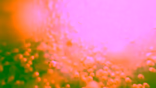 Pantene Pantene Molecular Bond Repair Ad Commercial Brand Imagery Photoshoot 0