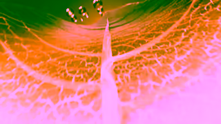 Pantene Pantene Molecular Bond Repair Ad Commercial Brand Imagery Photoshoot 1