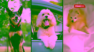 PRIME100 Prime100 SPD Air Dried Ad Commercial Brand Imagery Photoshoot 0