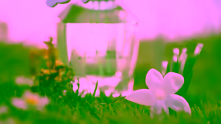 Marc Jacobs DAISY WILD MARC JACOBS Ad Commercial Brand Imagery Photoshoot 1