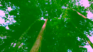 National Geographic Animals Up Close with Bertie Gregory All Episodes Now Streaming D Sept Offer 30 Ad Commercial Brand Imagery Photoshoot 0