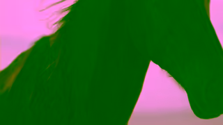 Go Dominican Republic Taste the Paradise in Dominican Republic Ad Commercial Brand Imagery Photoshoot 0