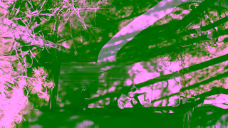 Vrbo US Big Bear Host Testimonial 30s Ad Commercial Brand Imagery Photoshoot 1