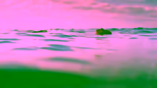 Palmolive Just Add Nature Ad Commercial Brand Imagery Photoshoot 2