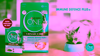 Purina PURINA ONE Immune Defence Plus Ad Commercial Brand Imagery Photoshoot 0