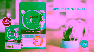 Purina PURINA ONE Immune Defence Plus Ad Commercial Brand Imagery Photoshoot 1