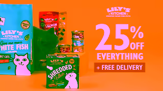 Lily's Kitchen 25 Off EVERYTHING FREE DELIVERY Ad Commercial Brand Imagery Photoshoot 1