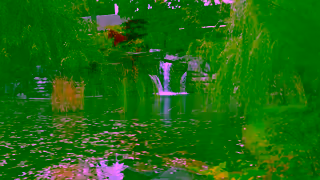 Brock University Reasons to love Brock Ad Commercial Brand Imagery Photoshoot 1