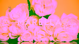 MARELLA EMILY X MARELLA FW24 Ad Commercial Brand Imagery Photoshoot 2