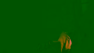 Spark NZ Give a Gift That Unleashes Theirs Spark Christmas 2024 Ad Commercial Brand Imagery Photoshoot 0