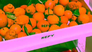 REFY SUMMER COLOURS ARE LIVE THIS IS HOW TO DO COLOUR THIS SUMMER Ad Commercial Brand Imagery Photoshoot 1