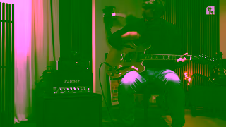 Palmer Audio Introducing the Palmer SUPREME SOAKER Analog Dynamic Tube Amp Hub Ad Commercial Brand Imagery Photoshoot 0