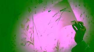 WEEKDAY Weekday Jeans Ad Commercial Brand Imagery Photoshoot 0