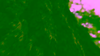 Timberland Anthem Timberland Ad Commercial Brand Imagery Photoshoot 0