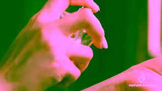 Perfume Boutique The Perfume Discovery Uncovering Your Signature Scent Ad Commercial Brand Imagery Photoshoot 1