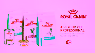 Royal Canin The Unique Power of Royal Canins Veterinary Nutrition Range Ad Commercial Brand Imagery Photoshoot 2
