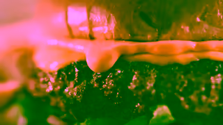 Chili's Grill & Bar Chilis 3 For Me Excuse Me 30s Ad Commercial Brand Imagery Photoshoot 0