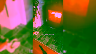 Purdy & Figg September25 AutumnStarterKit FreeODL JP MA S277 Sylvan TOFU 16x9 Orig A Ad Commercial Brand Imagery Photoshoot 1