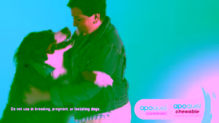Zoetis Apoquel Dogimonial Ad Commercial Brand Imagery Photoshoot 1