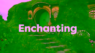 Kiwi Wonder Tours Kiwi Wonder Tours Ruakuri Cave and Hobbiton Ad Commercial Brand Imagery Photoshoot 1