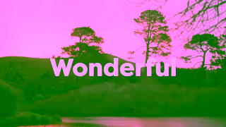 Kiwi Wonder Tours Kiwi Wonder Tours Ruakuri Cave and Hobbiton Ad Commercial Brand Imagery Photoshoot 2