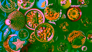 Banyan Group Live to Discover Morocco Ad Commercial Brand Imagery Photoshoot 1