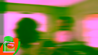 Zyrtec Say Goodbye to Home Remedies and Hello to Real 24Hour Allergy Relief ZYRTEC Ad Commercial Brand Imagery Photoshoot 0