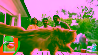 Zyrtec Say Goodbye to Home Remedies and Hello to Real 24Hour Allergy Relief ZYRTEC Ad Commercial Brand Imagery Photoshoot 2