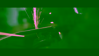 US Air Force Air National Guard TSgt Staley Ad Commercial Brand Imagery Photoshoot 1