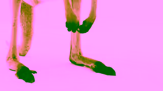 TELUS TELUS iPhone 16 Pro Ad Commercial Brand Imagery Photoshoot 0