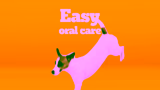 Pedigree PEDIGREE Love at First Sight Ad Commercial Brand Imagery Photoshoot 0