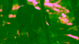 Visit Wales Wales by tails Ad Commercial Brand Imagery Photoshoot 0