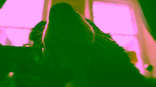 Visit Wales Wales by tails Ad Commercial Brand Imagery Photoshoot 2