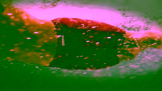 Arena Sport Discover Powerskin ST NEXT the first FINAapproved race suit made with recycled fabric Ad Commercial Brand Imagery Photoshoot 1