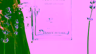ISSEY MIYAKE ISSEY MIYAKE PARFUMS LEau dIssey pour Homme Solar Lavender LEau dIssey pour Homme 10s Ad Commercial Brand Imagery Photoshoot 1