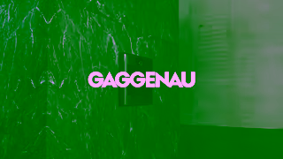 GAGGENAU Gaggenau Expressive Series 6s v1 16x9 TITLED MP4 Ad Commercial Brand Imagery Photoshoot 0