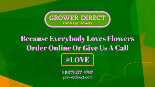 GROWER DIRECT Grower Direct Is a Family Owned Operated business based in Edmonton Alberta Ad Commercial Brand Imagery Photoshoot 2