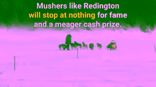 PETA Iditarod 16x9 Ad Commercial Brand Imagery Photoshoot 1