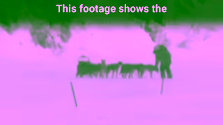 PETA Iditarod 16x9 Ad Commercial Brand Imagery Photoshoot 2