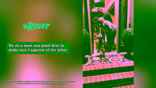 Rover.com Paid US 2025 Organic Assets Dog General 30 16x9 Ad Commercial Brand Imagery Photoshoot 0