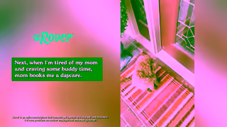 Rover.com Paid US 2025 Organic Assets Dog General 30 16x9 Ad Commercial Brand Imagery Photoshoot 1