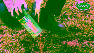 Scotts Scotts Patch Repair Patchy Lawn Not Anymore Ad Commercial Brand Imagery Photoshoot 1