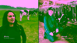 Dairy Farmers of Canada Helping feed Canadians and ensuring a reliable food supply Thats the Canadian Way Ad Commercial Brand Imagery Photoshoot 0