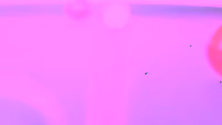 Tommy Hilfiger JISOO for Tommy Ad Commercial Brand Imagery Photoshoot 1