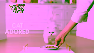 Purina Fancy Feast Wet Cat Food Chef Inspired Cat Adored Ad Commercial Brand Imagery Photoshoot 1