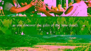 Go Hawaii Mlama Kauai Respect the Land Ad Commercial Brand Imagery Photoshoot 1