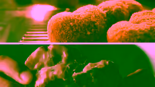 Tim Hortons Tim Hortons Tims Retro Donuts Ad Commercial Brand Imagery Photoshoot 1