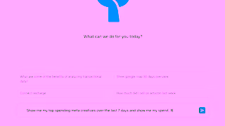 Triple Whale Hero New Edited Ad Commercial Brand Imagery Photoshoot 1