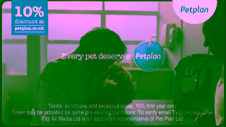 Petplan Petplan DRTV Cat 20 YouTube Ad Commercial Brand Imagery Photoshoot 2