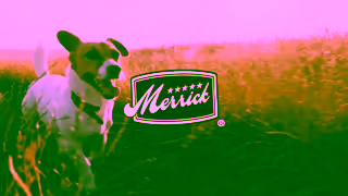 Merrick Pet Care Real Benefits Ad Commercial Brand Imagery Photoshoot 0